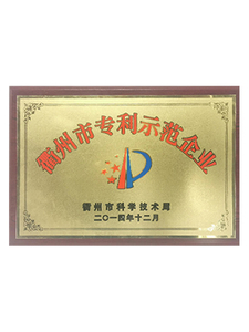 China Patent Demonstration Enterprise